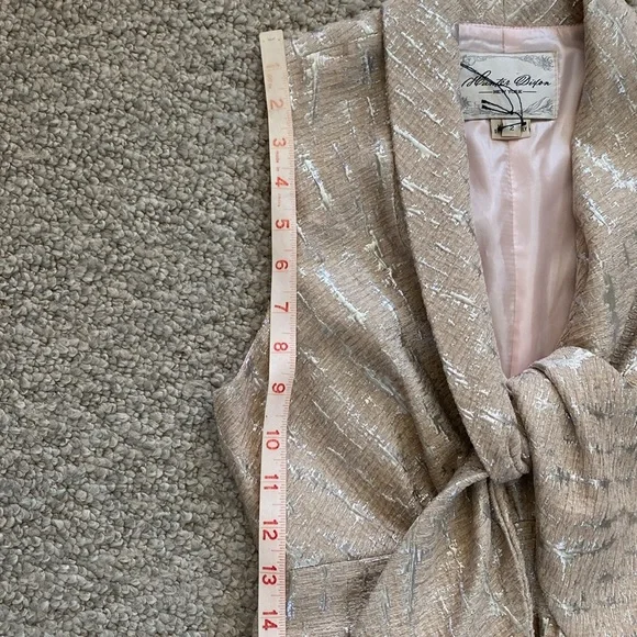 Vintage hunter Dixon brocade lined dress in silver & blush size 2 - Picture 12 of 14